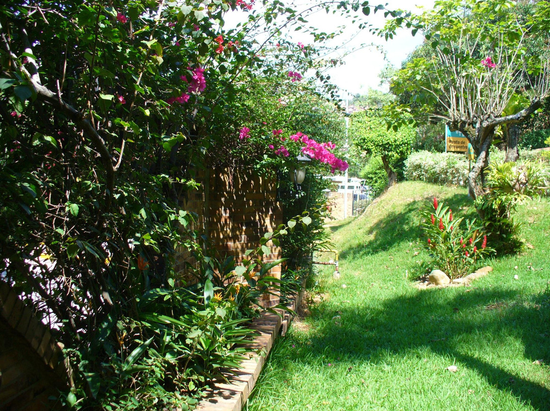 Hotel Palmera Real主图