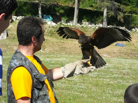 Sibilliniee Adventure-诺尔恰必去景点