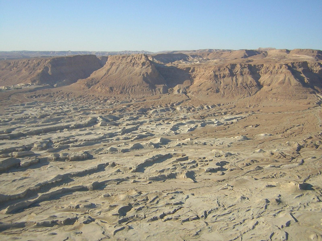 Gold Carpet Tours-Petah Tiqwa必去景点