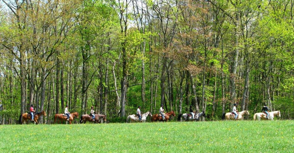 Vanderbeek Farm & Equestrian Center景点图片
