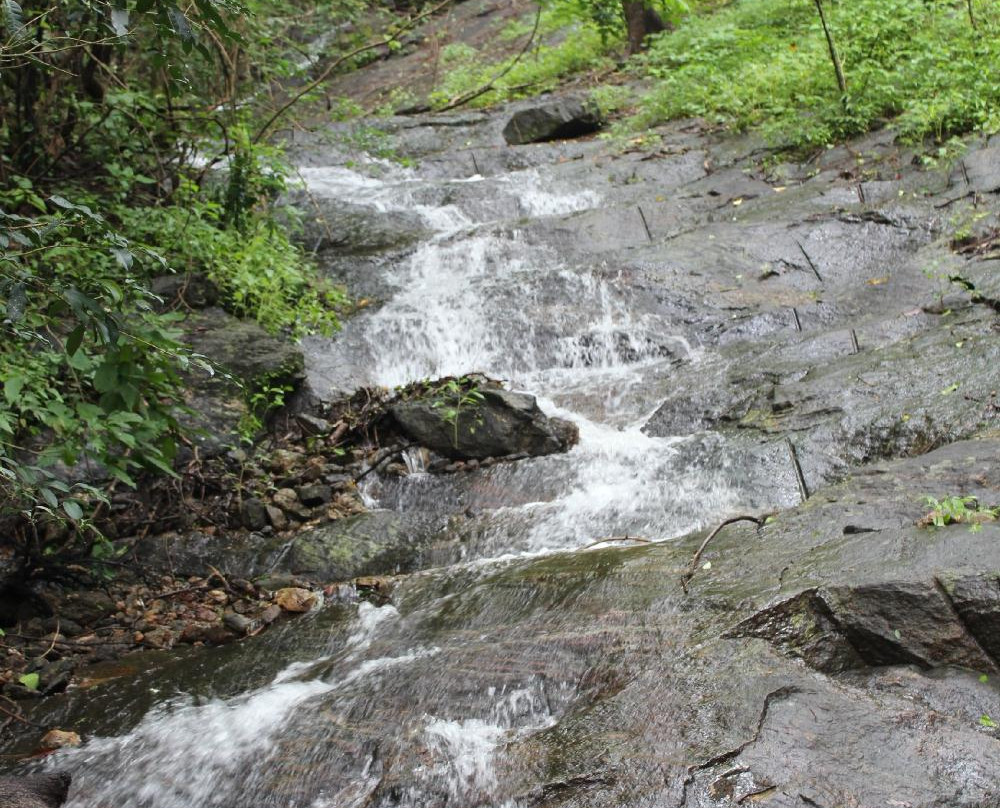 Dhoni Waterfalls-Palakkad必去景点