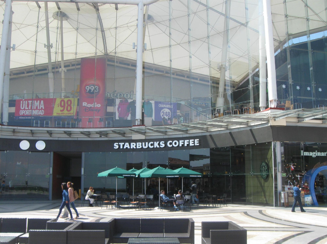 La Cuspide Sky Mall景点图片