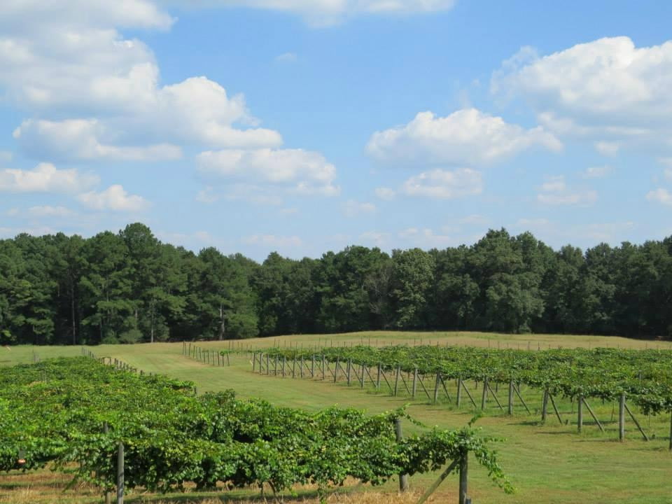 Enoree River Winery景点图片