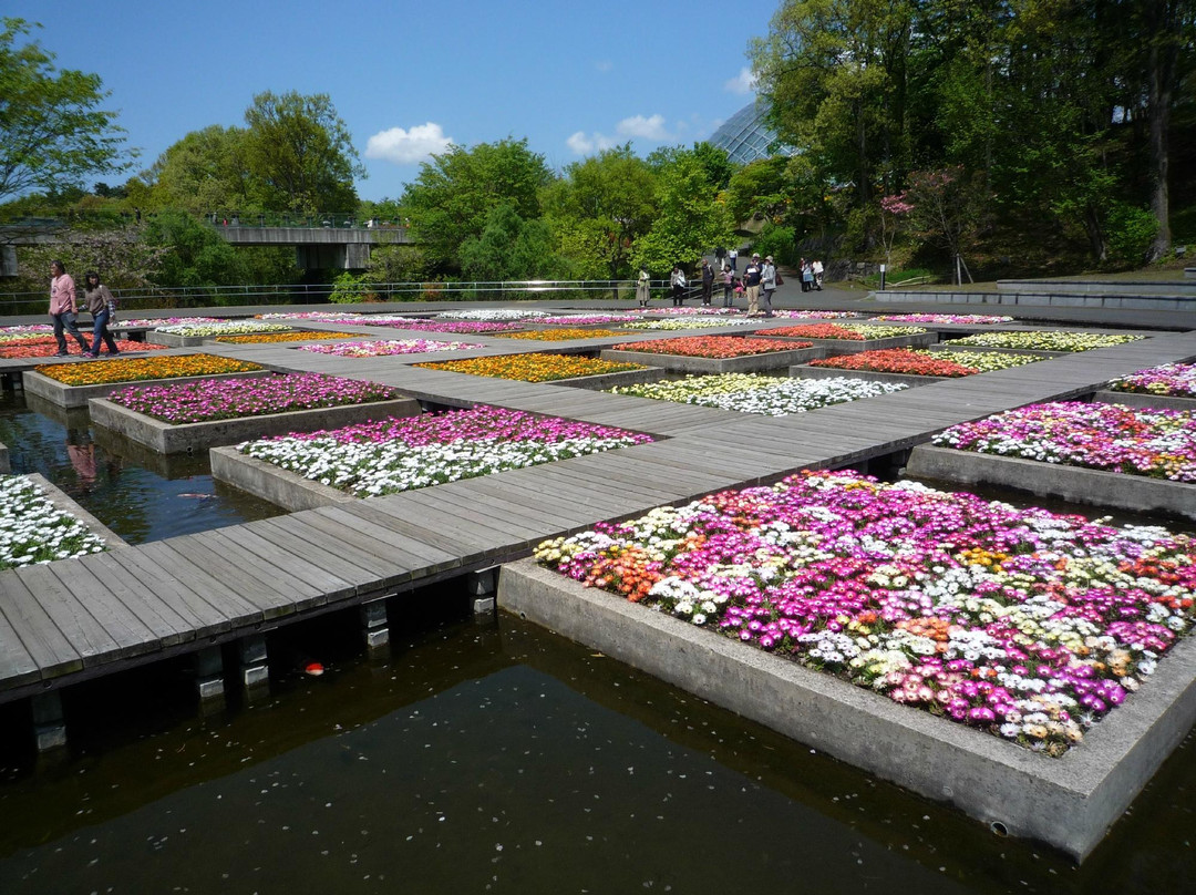 Tottori Hanakairo-Flower Park景点图片
