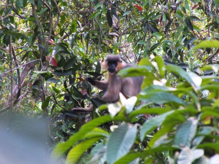 Rema-Kalenga Wildlife Sanctuary-锡尔赫特必去景点