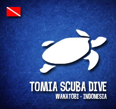 Tomia Scuba Dive景点图片