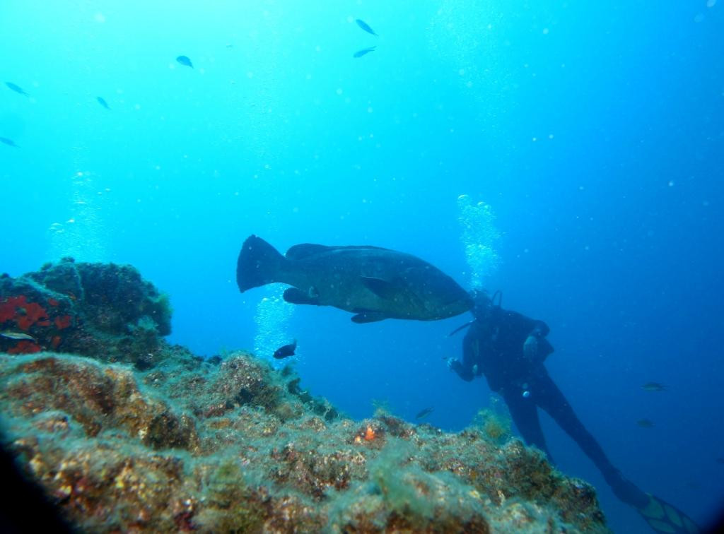 Active Scuba Divers-科斯塔特吉塞必去景点