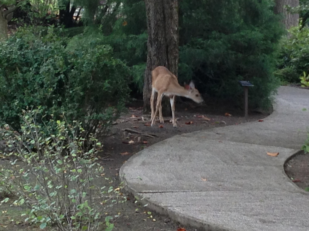 利西亚公园-阿什兰必去景点