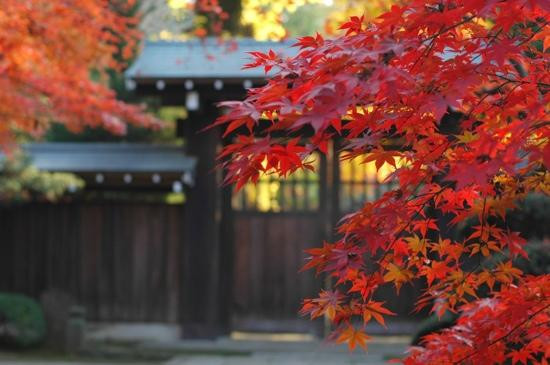 Heirin-ji Temple-新座市必去景点