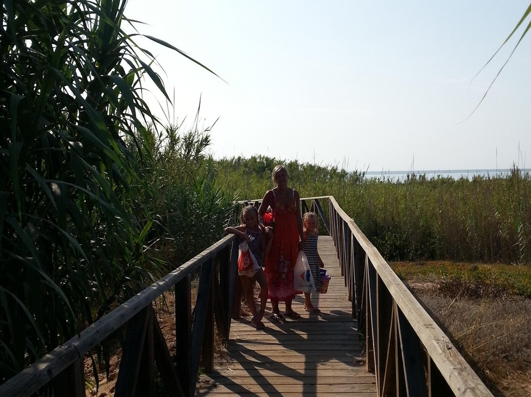 Guardamar Moncayo Beach景点图片