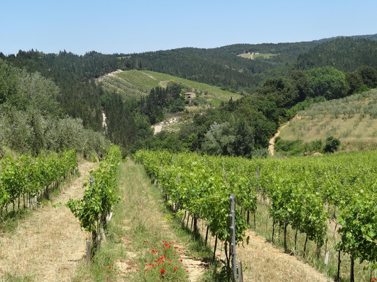 I Bike Tuscany-佛罗伦萨必去景点