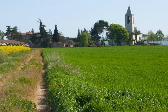 Campllong旅游攻略图片