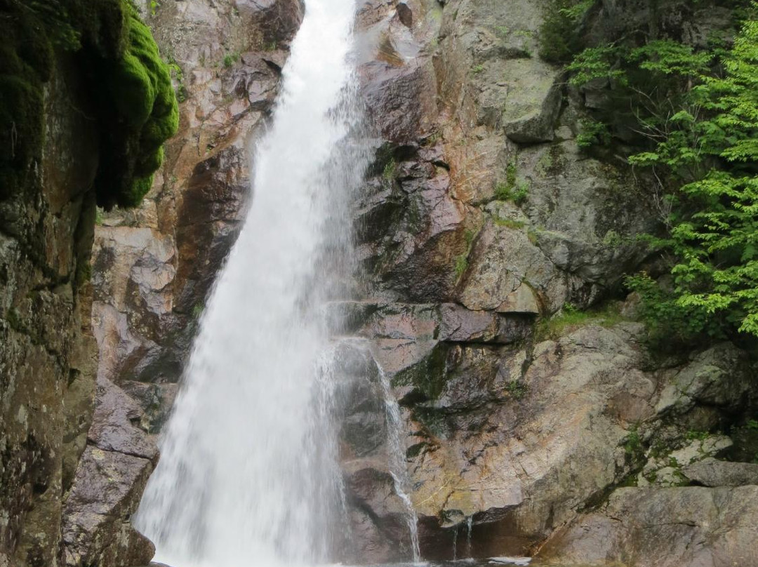 Glen Ellis Falls-杰克逊必去景点