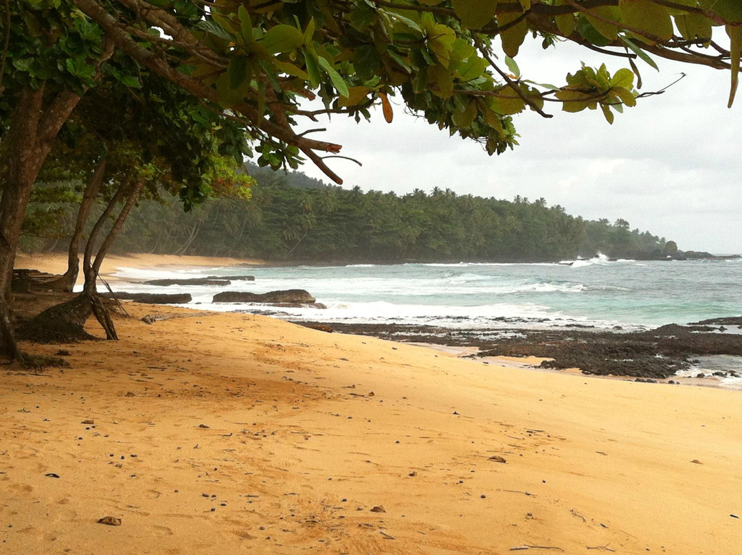 Praia Jale景点图片