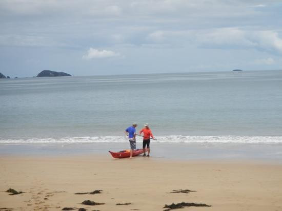 Bay and Beyond Sea Kayak Tours景点图片