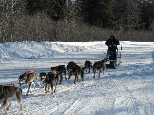 Turning Heads Kennel-苏厄德必去景点