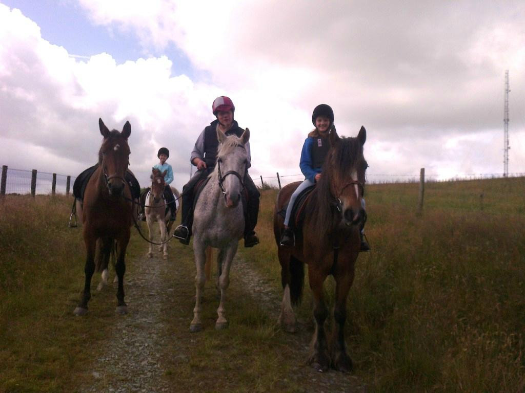 Saddle Tramps Trail Riding-Lampeter必去景点