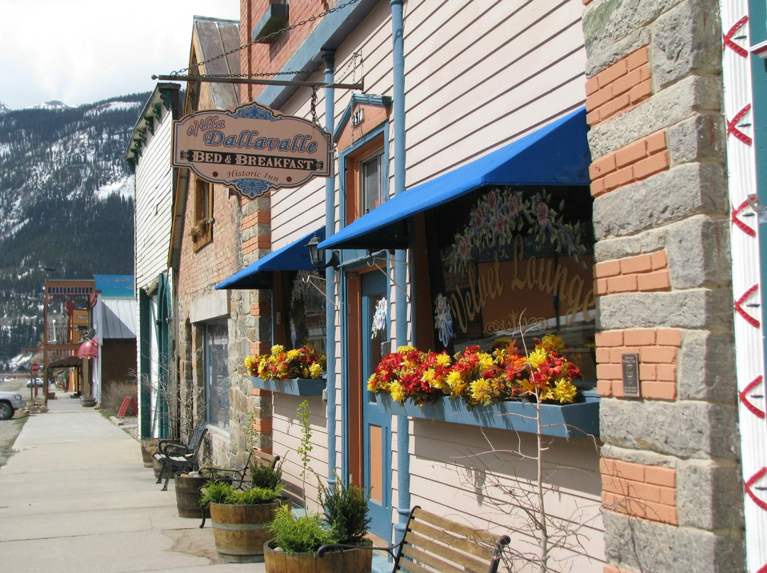Silverton酒店住宿-Villa Dallavalle Hotel / Inn