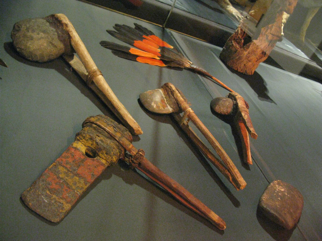 麦克里博物馆-悉尼必去景点