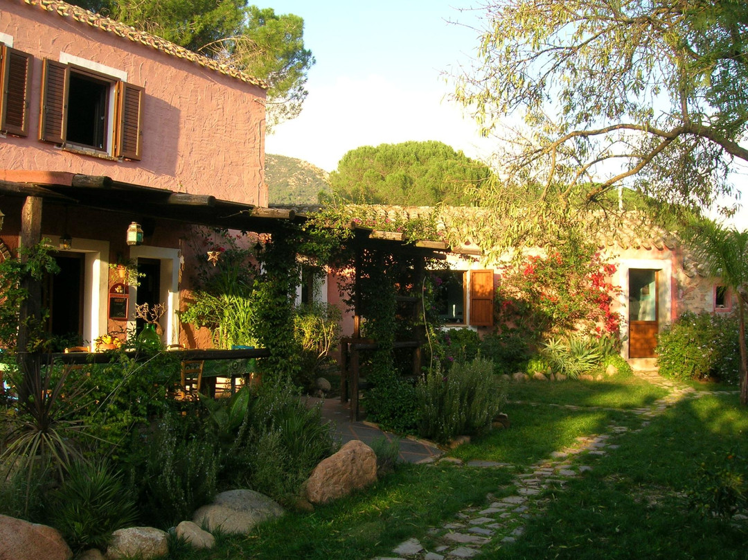 La Fattoria Delle Tartarughe