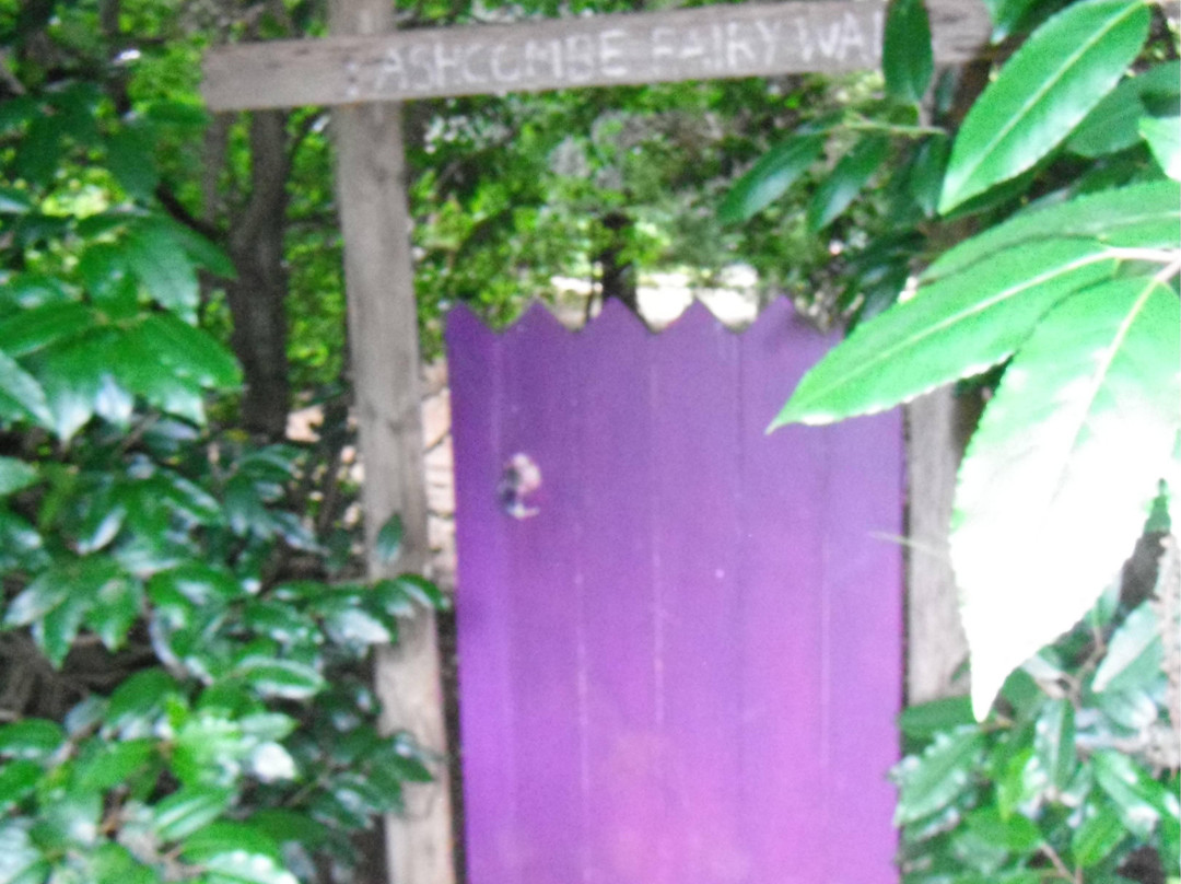 Ashcombe Maze & Lavender Garden景点图片