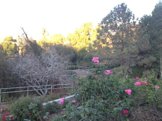 University of California Riverside Botanic Gardens-里弗赛德必去景点