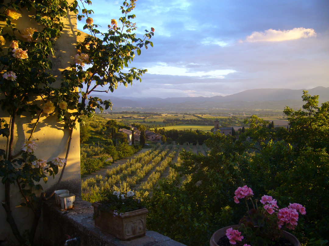 Le Terre di Poreta主图