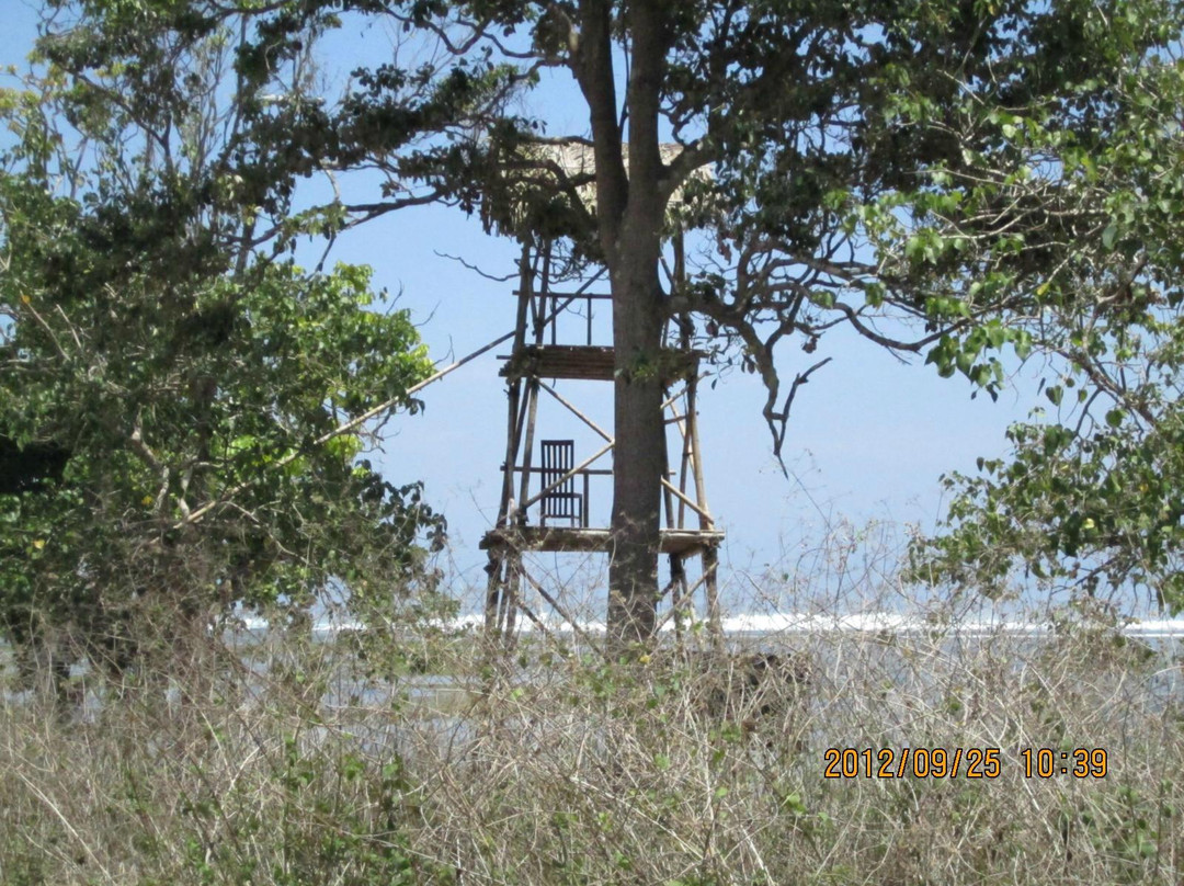 G-Land-巴纽旺宣必去景点