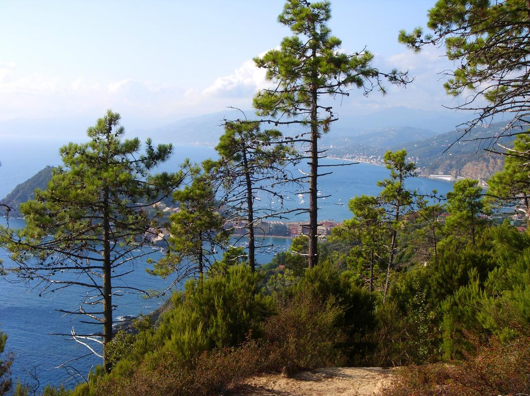 Hike the Punta Manara-东塞斯特里必去景点