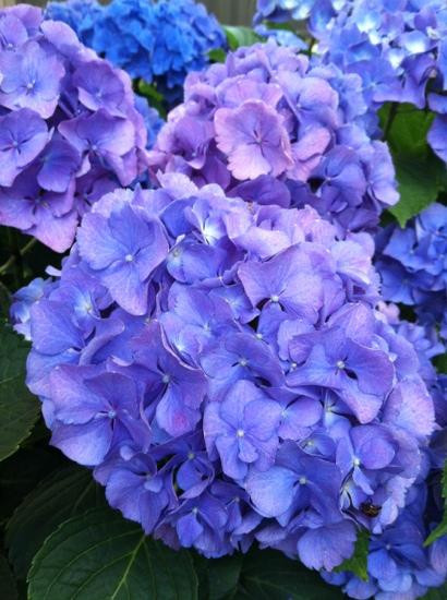 Tower House B&B主图