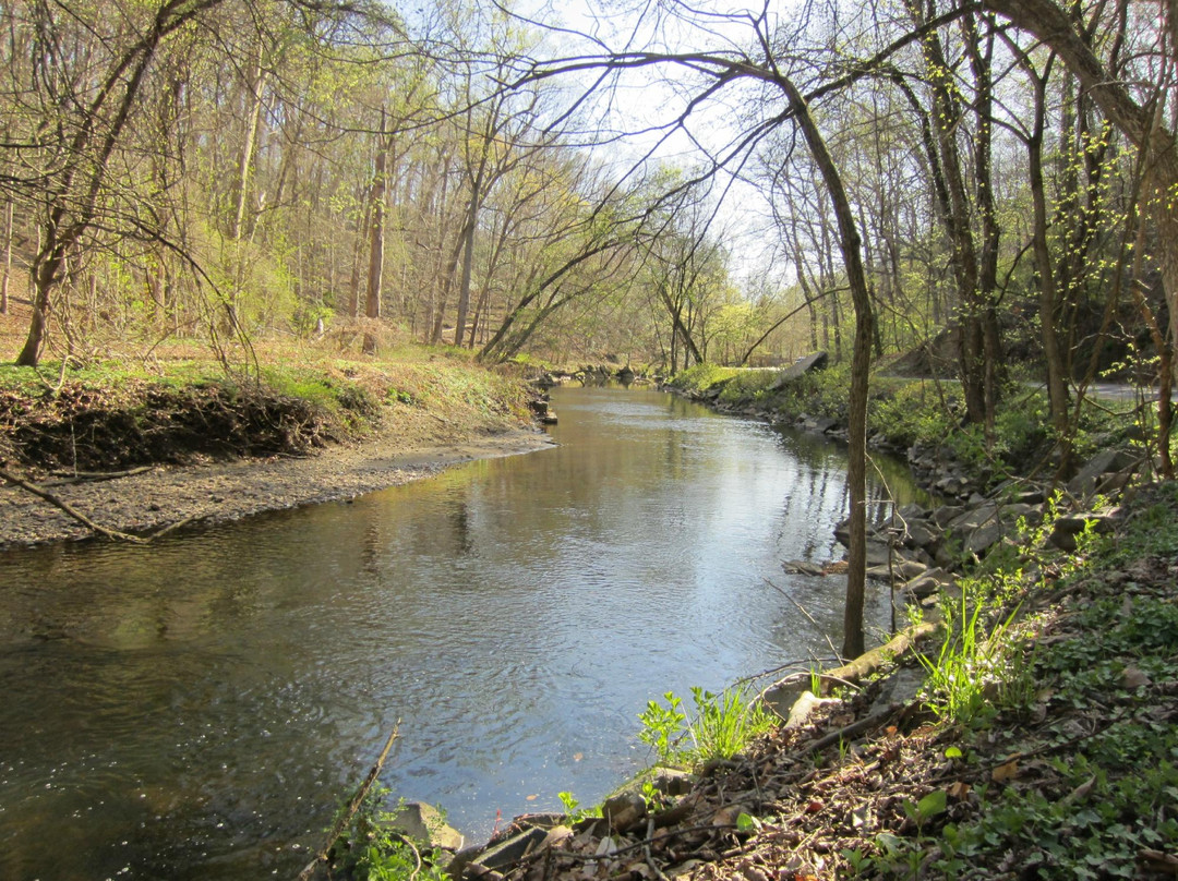 岩溪公园-华盛顿特区必去景点