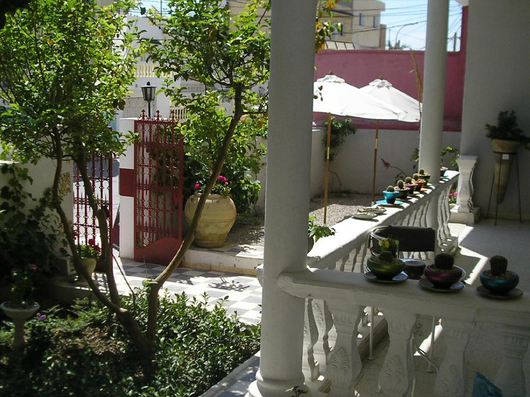 摩纳斯特旅游景点-Gallery Espressioni