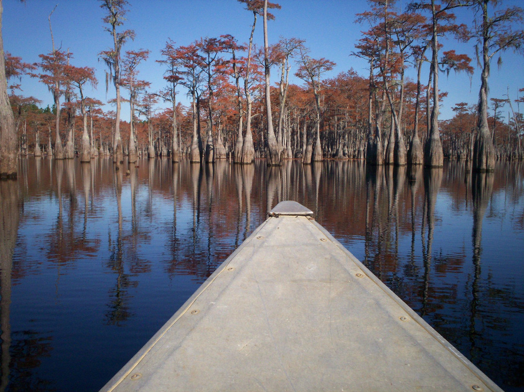 George L. Smith Park-Twin City必去景点