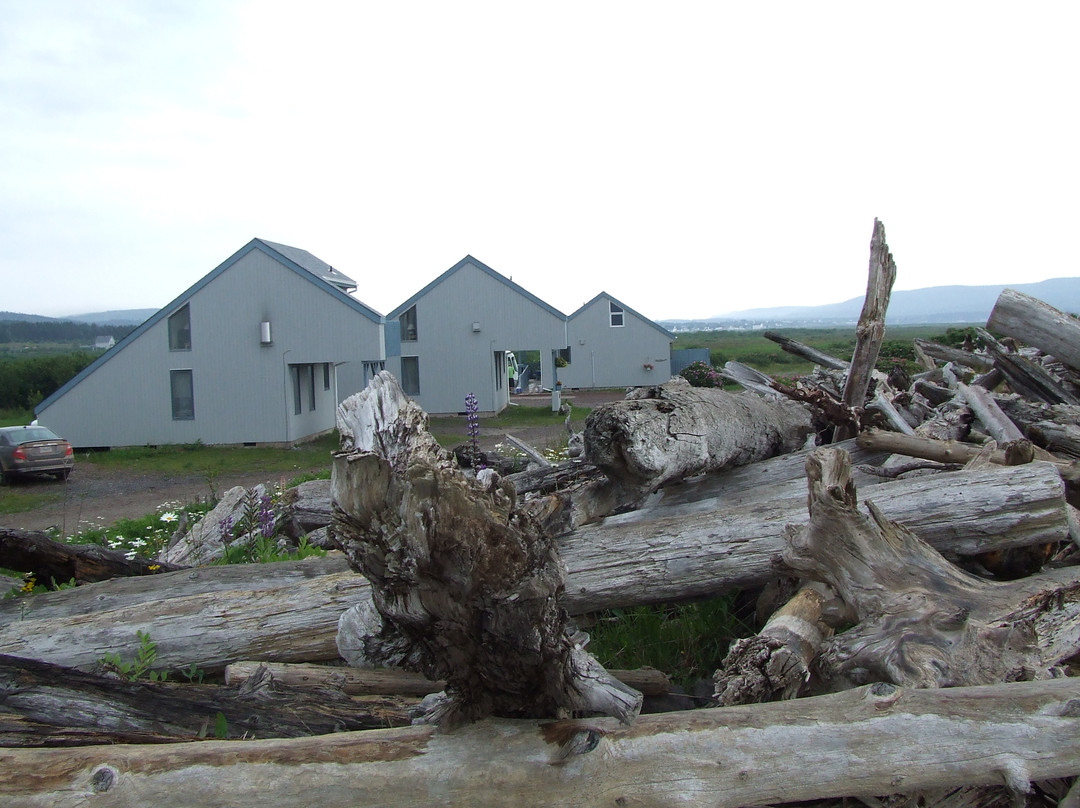 Driftwood Park Retreat