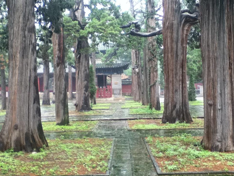 邹城孟庙孟府-邹城市必去景点