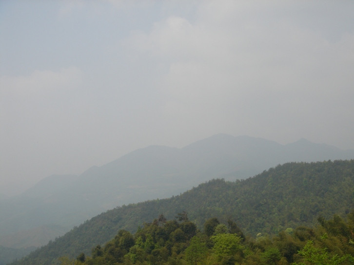 丫山森林公园景点图片