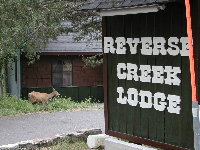 Reverse Creek Lodge