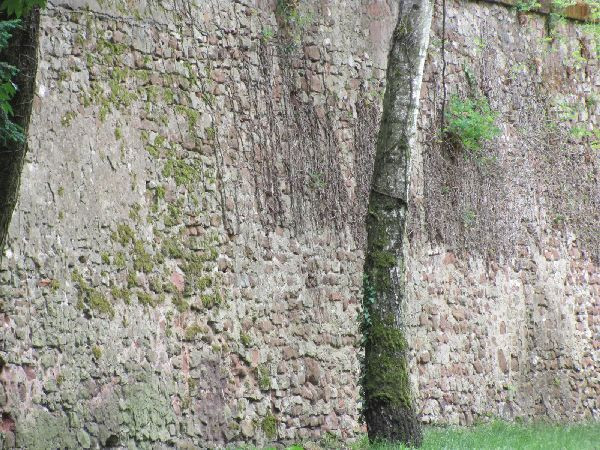 Stadtmauer-特里尔必去景点