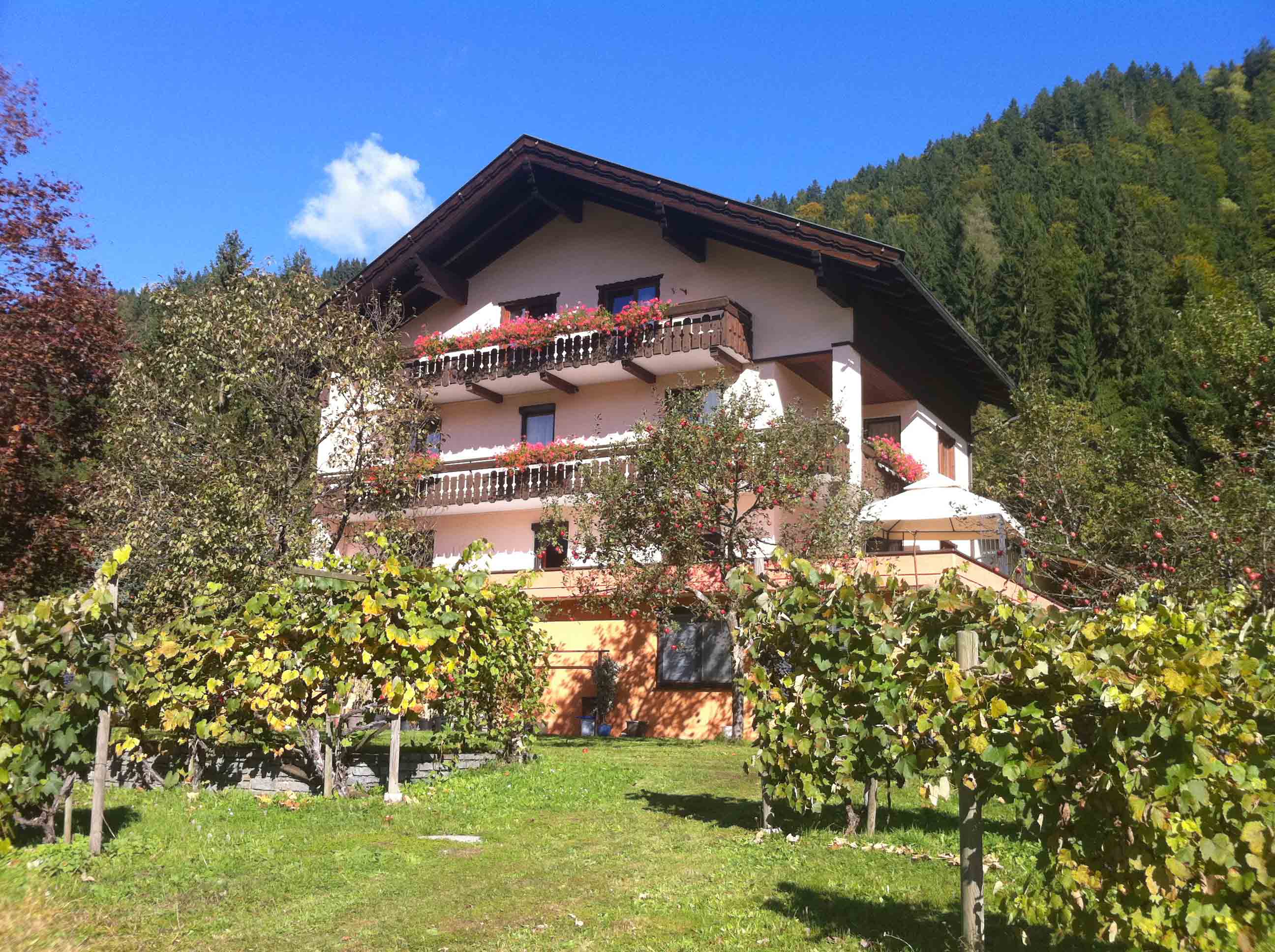 Enzianbrenner B&B-官方