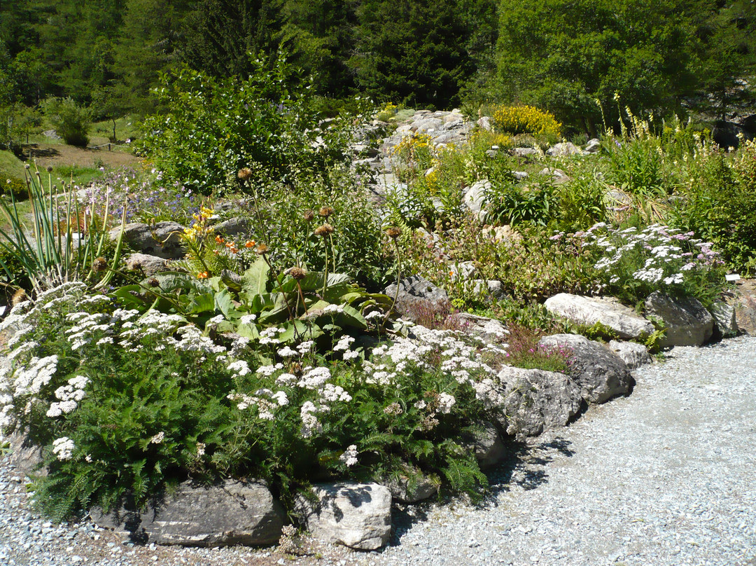 Giardino Botanico Alpino Paradisia景点图片