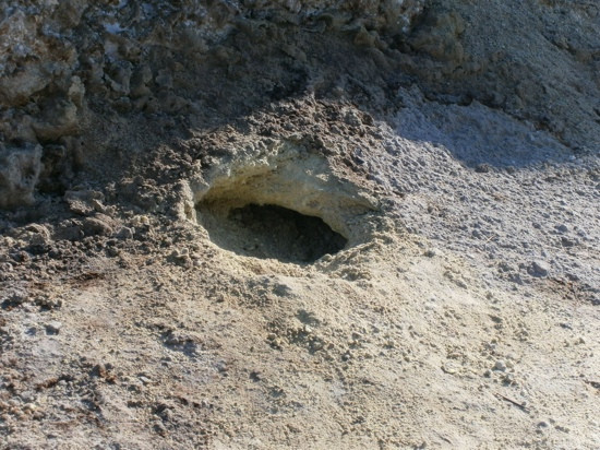 Terme di Vulcano-Isola Vulcano必去景点