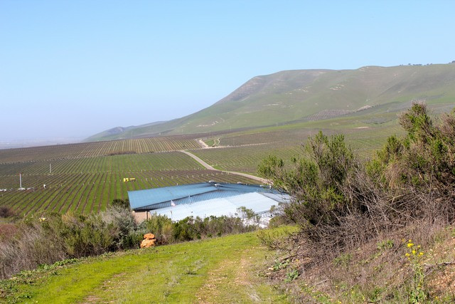 Cambria Estate Winery-圣玛丽亚必去景点