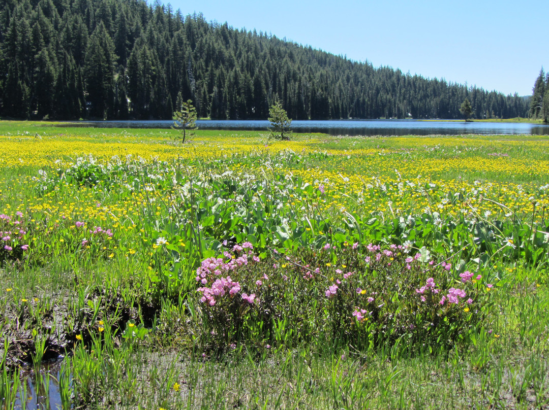 Todd Lake-本德必去景点