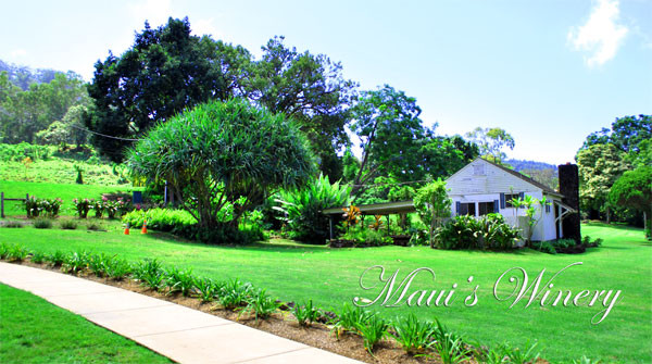 Maui Country Farm Tours-马卡瓦必去景点