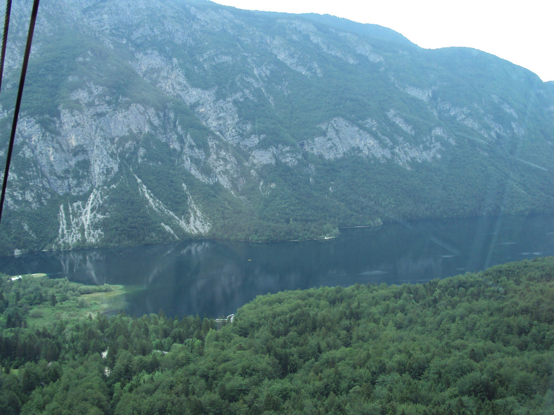 Vogel Ski Center-博希尼湖必去景点