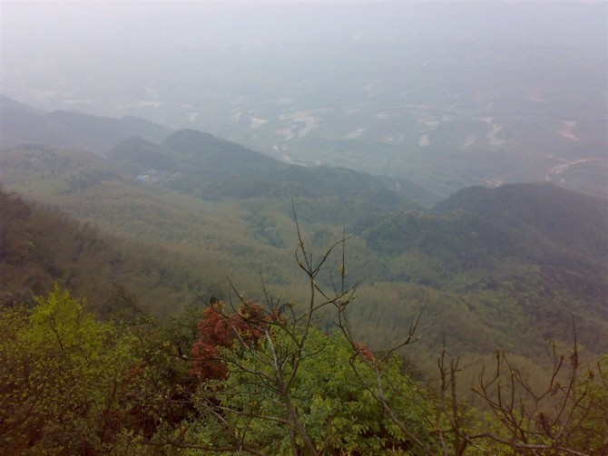 茶山竹海景点图片