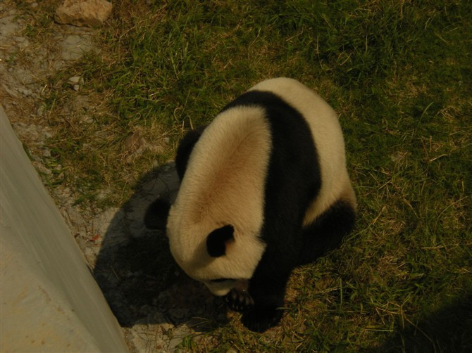 无锡动物园-无锡市必去景点