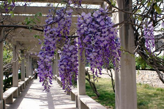 格林豪泰上海市延长路地铁站快捷酒店主图