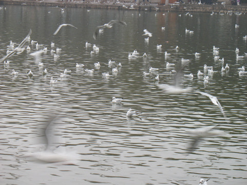 昆明翠怡酒店主图