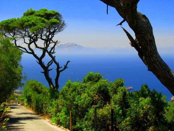 Gibraltar Upper Rock Nature Reserve-直布罗陀必去景点